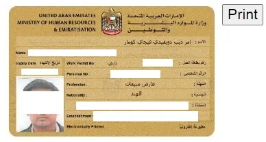 Labour Card Download in UAE MoHRE 2024 | Gulfistan