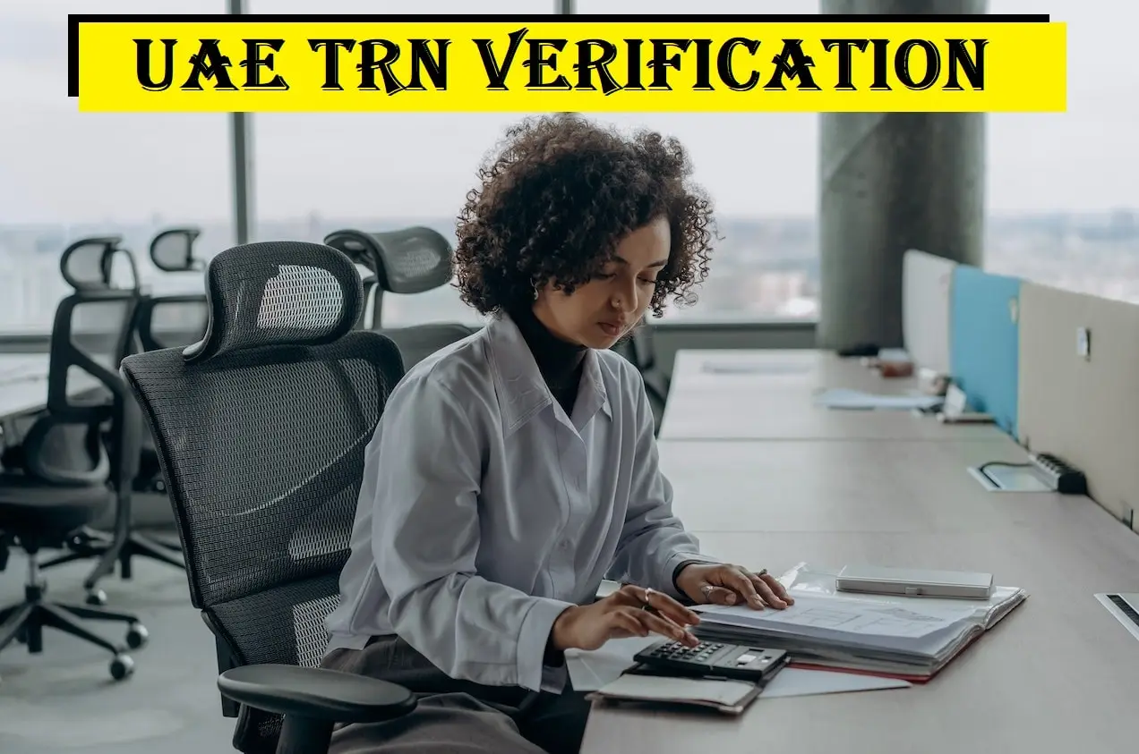 Accountant verifying TRN number online in UAE